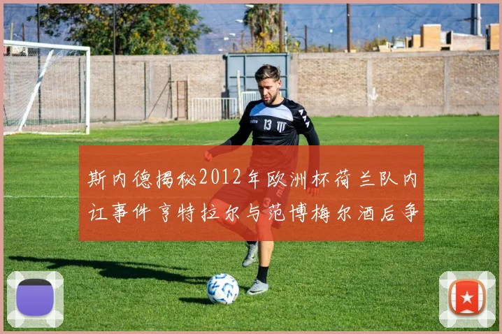 斯内德揭秘2012年欧洲杯荷兰队内讧事件亨特拉尔与范博梅尔酒后争执内幕